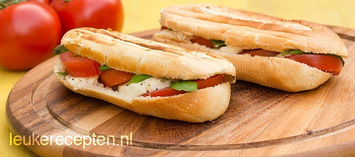 Panini met mozzarella