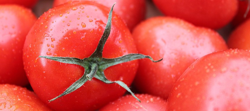 Tips tomaten