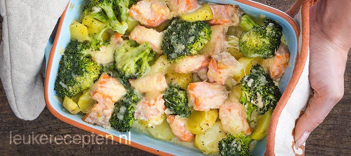Zalm broccoli schotel