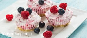 mini yoghurt ijstaartje