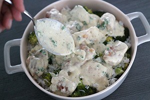 romige kip met rijst 01