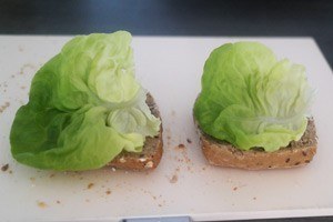 hellmanns burger