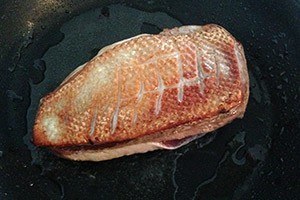 Salade eendenborst 01