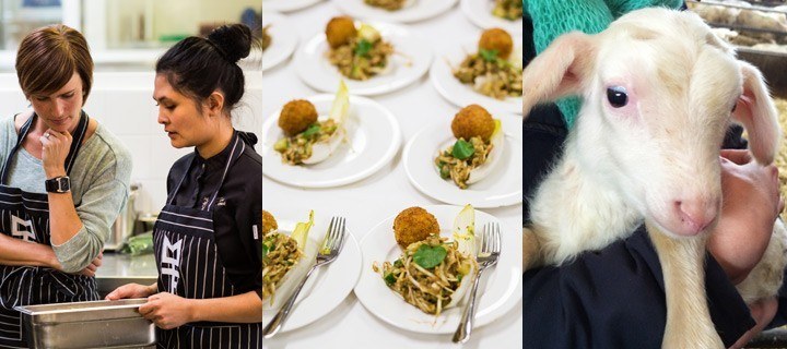 Friese foodtour door Leeuwarden – deel 2