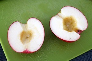 appelroosjes van bladerdeeg 01