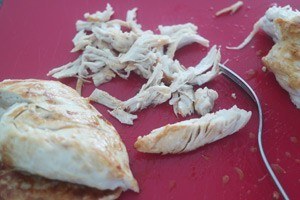 quasadilla 01