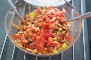 quasadilla 01