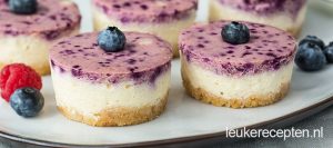 bosvruchten-cheesecakes