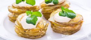 aardappeltorrentjes