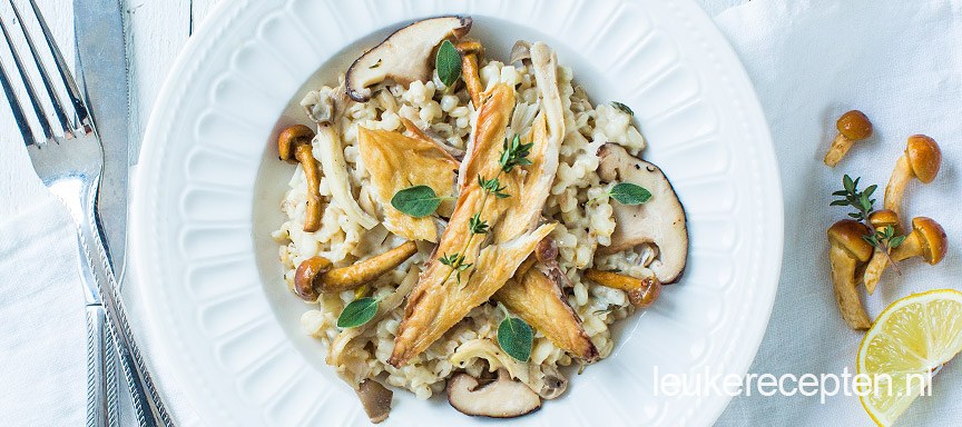 Paddenstoelenrisotto van parelgort met makreel
