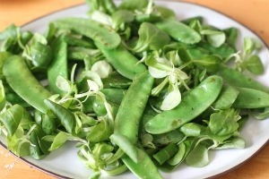 salade met gerilde tonijn www.leukerecepten.nl