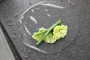 summerrolls met kip www.leukerecepten.nl