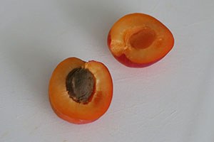 abrikoos met mascarpone www.leukerecepten.nl