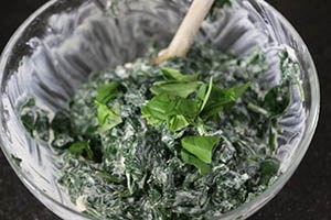 cannelloni zalm www.leukerecepten.nl