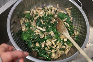 Vega wellington stap 4