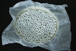 Quiche met zalm en spinazie