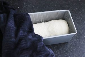 Brood bakken - basisrecept