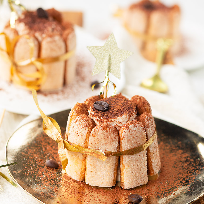 mini-charlotte-tiramisu-v