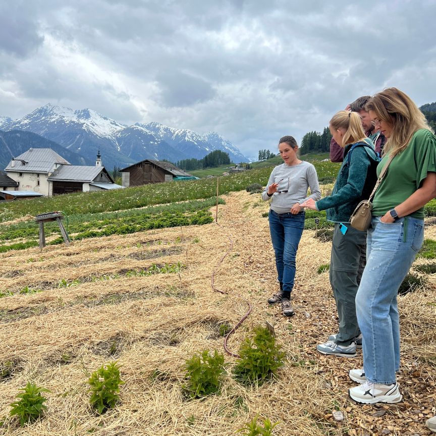 zwitserland-kookreis-leukerecepten-07