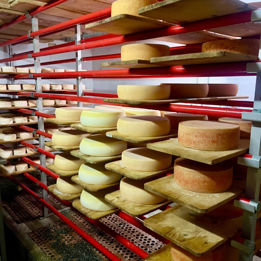 zwitserland-kookreis-leukerecepten-08