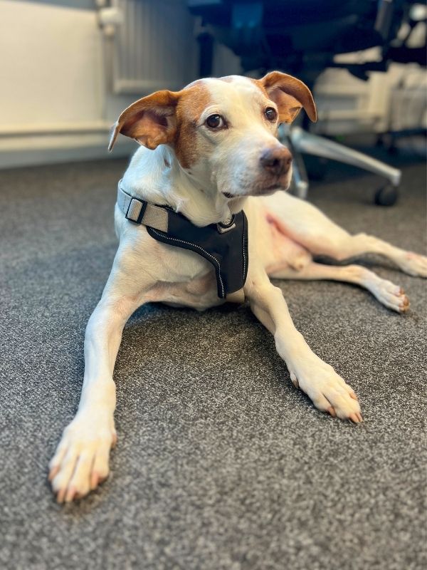 leukerecepten_sept_2025_06