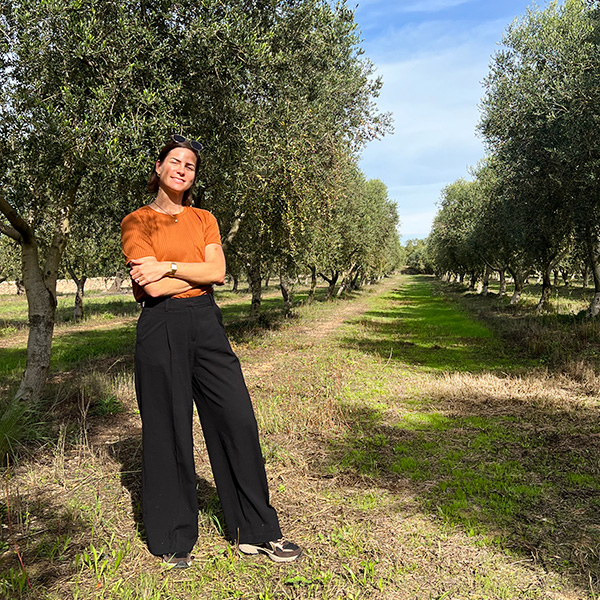 tussen de olijfbomen gaarden